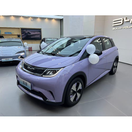 2023 BYD dolphin EV Auto Adult 401km 420km new energy Vehicle Electric Car